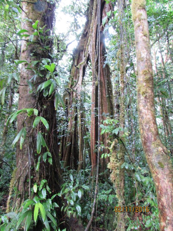 Costa Rica