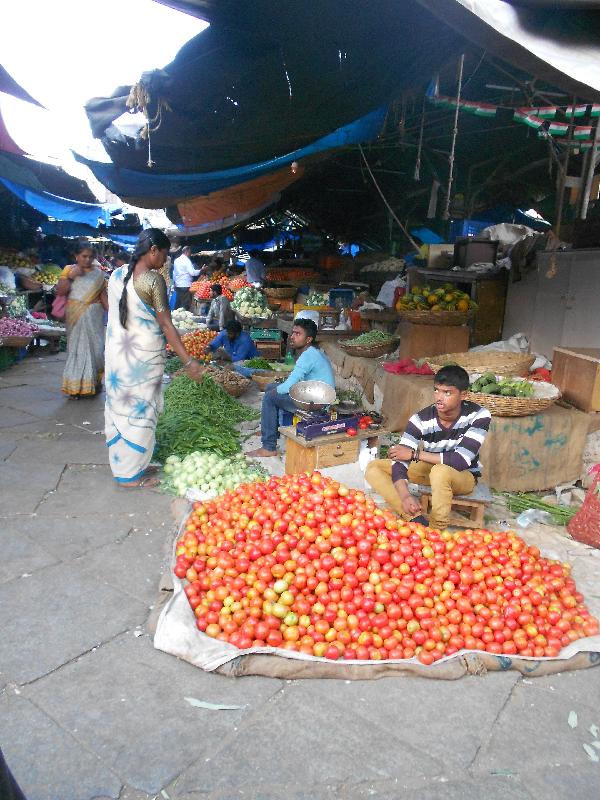 Great introduction to a fantastic country...India I will be visiting again!