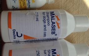 malaseb dog shampoo non prescription