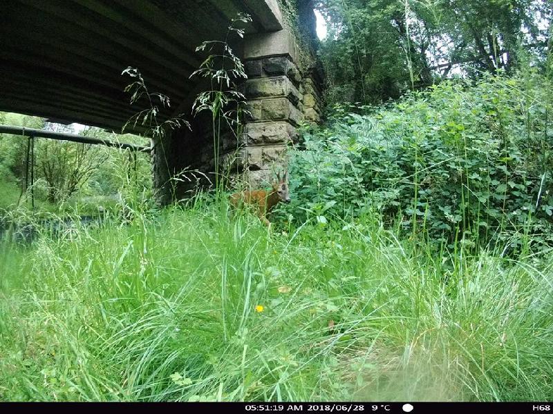 Insure old Railway Track