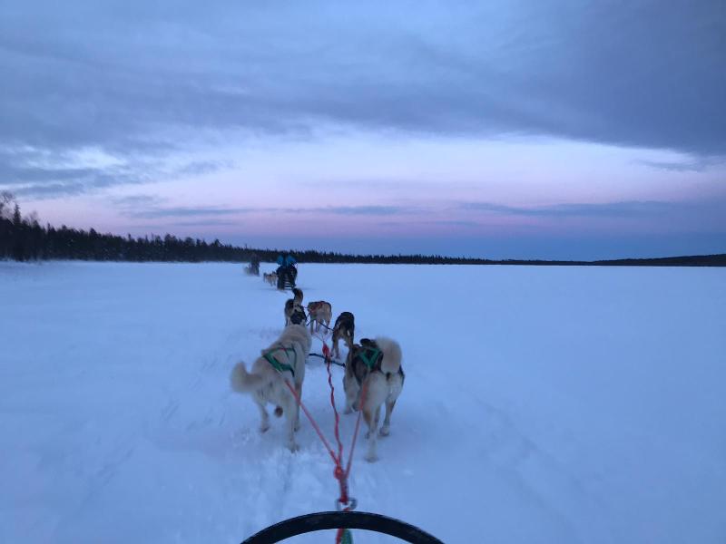 Chilled out and Thankful in Lapland, Finland