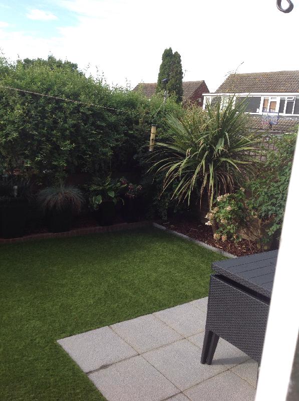 Quick delivery grass looks great