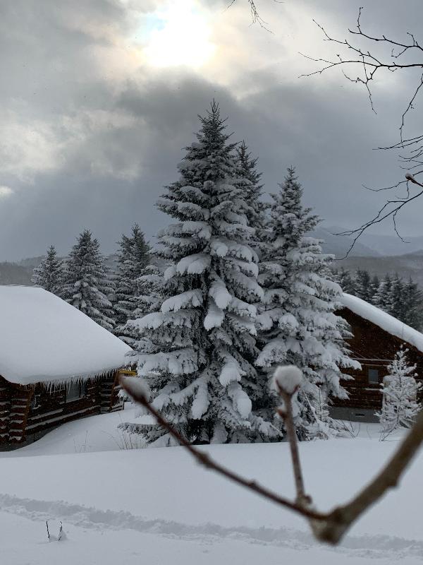 Cosy cabins, delicious breakfasts and lovely hosts