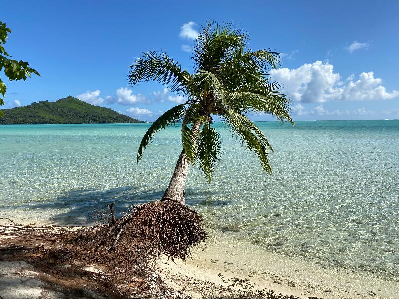 Sunsail in the amazing French Polynesia.