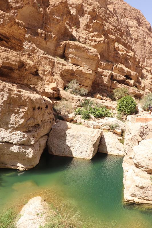 An interesting day trip to the natural side of Oman