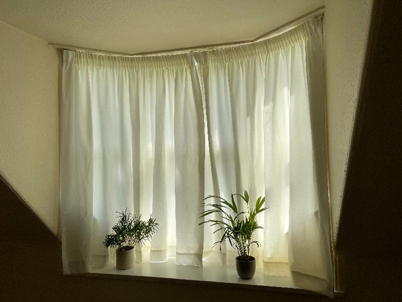 Off-White Cotton Ready Made Curtains. Pencil Pleat, Cotton, L width x 137cm drop