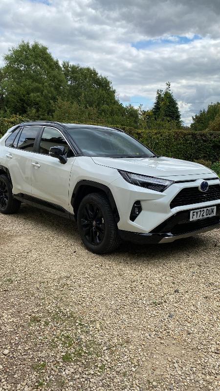 RAV4 Icon