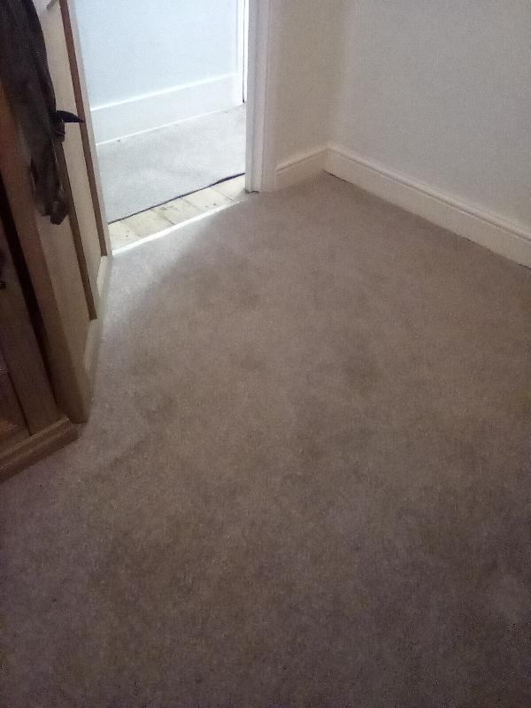 Excellent price for a web back carpet ,I'll be ordering more for livingroom