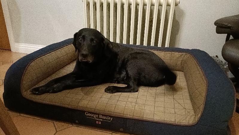 High-End Luxury Orthopaedic Dog Sofa Bed / Large George Barclay Country Dog Bed / Handcrafted in the UK