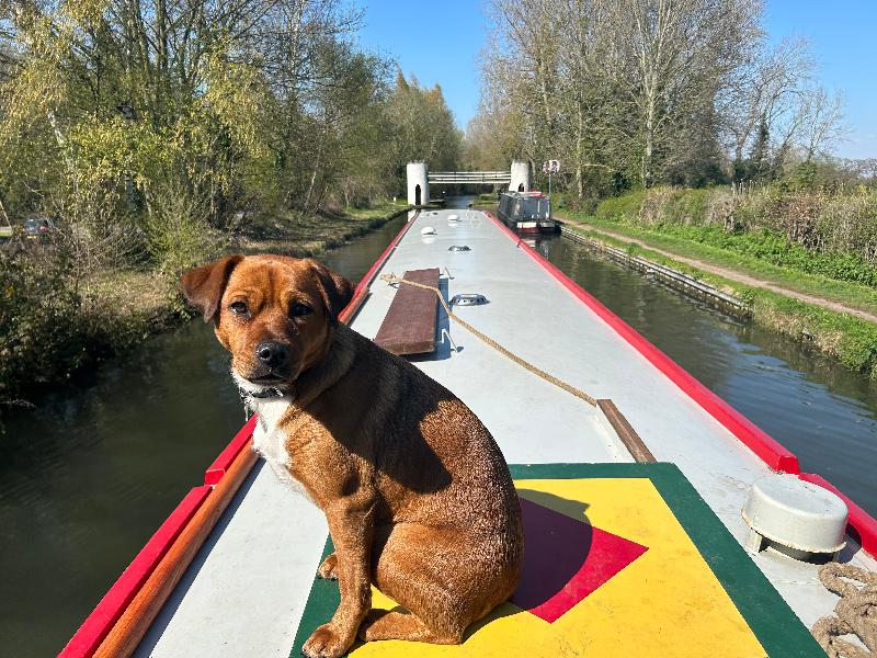 Lovely week superboat good time of year to book