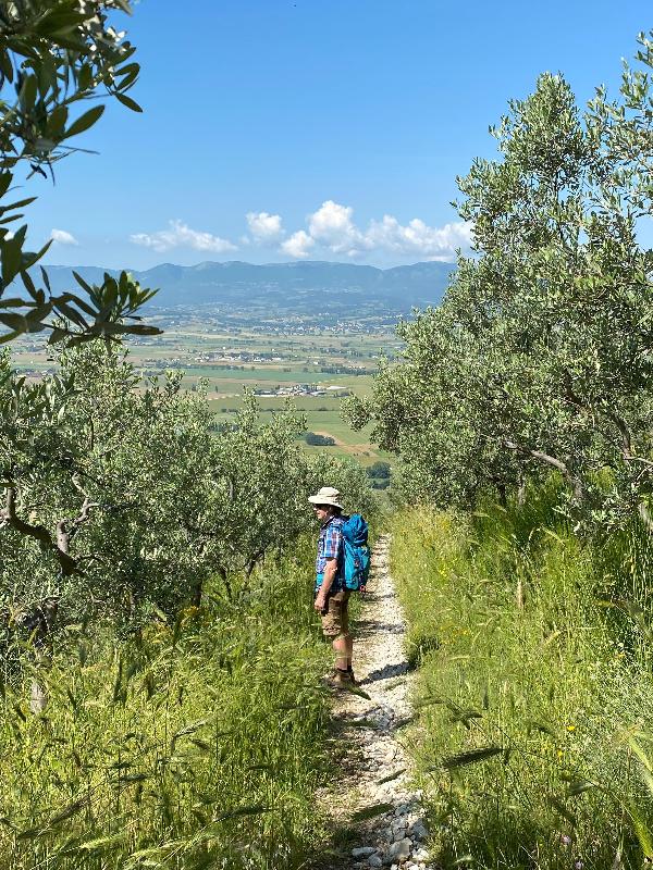 Unspoilt Umbria - saints, sights, food & flora!