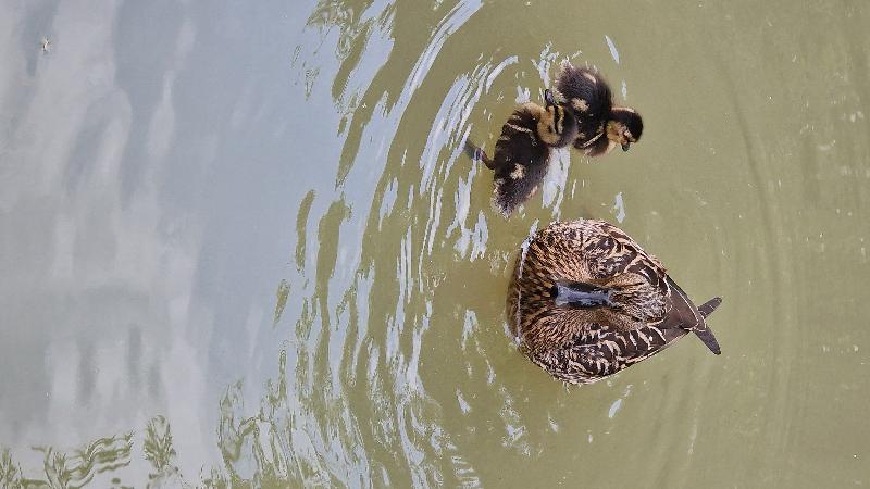 Best hoilday ever , we loved our little purbeck boat & didn't want to leave