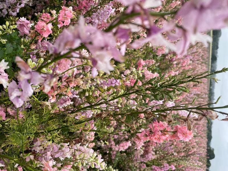 Very pretty. Take your own food/ picnic. Try to go on a sunny day