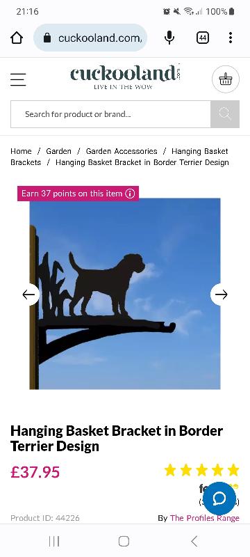 Hang basket bracket