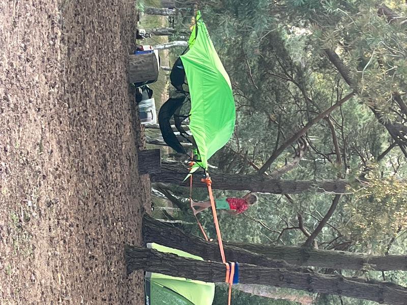 Brownsea Island camping