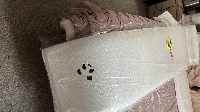 Fantastic Panda Mattress Topper and Pillow from Cuckooland