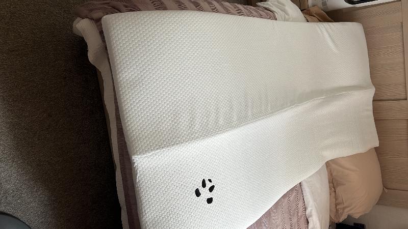 Fantastic Panda Mattress Topper and Pillow from Cuckooland