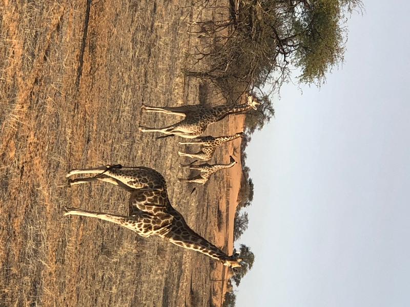 In excellent hands when planning our African adventure