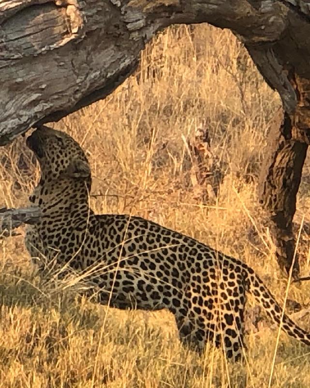 In excellent hands when planning our African adventure