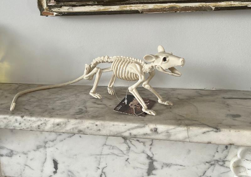 Rat Skeleton Halloween Plastic Prop Decoration 46cm