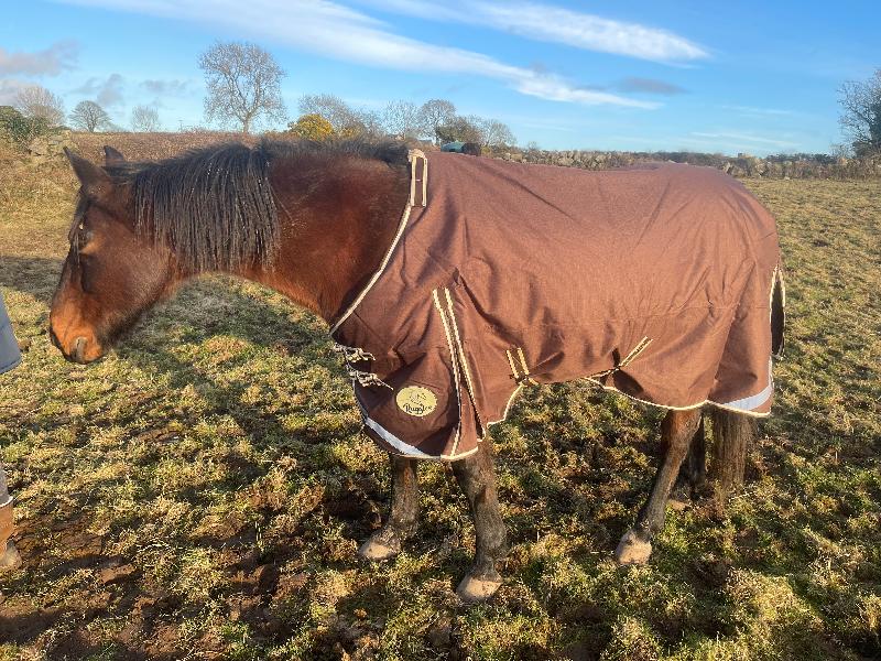 Perfect rug for heavy horse