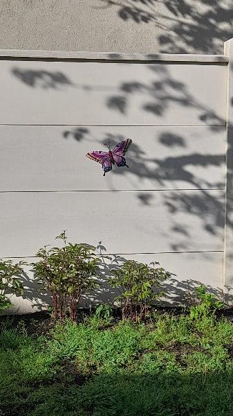 Papillon violet Art nouveau