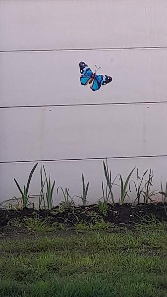 Art mural libellule bleue