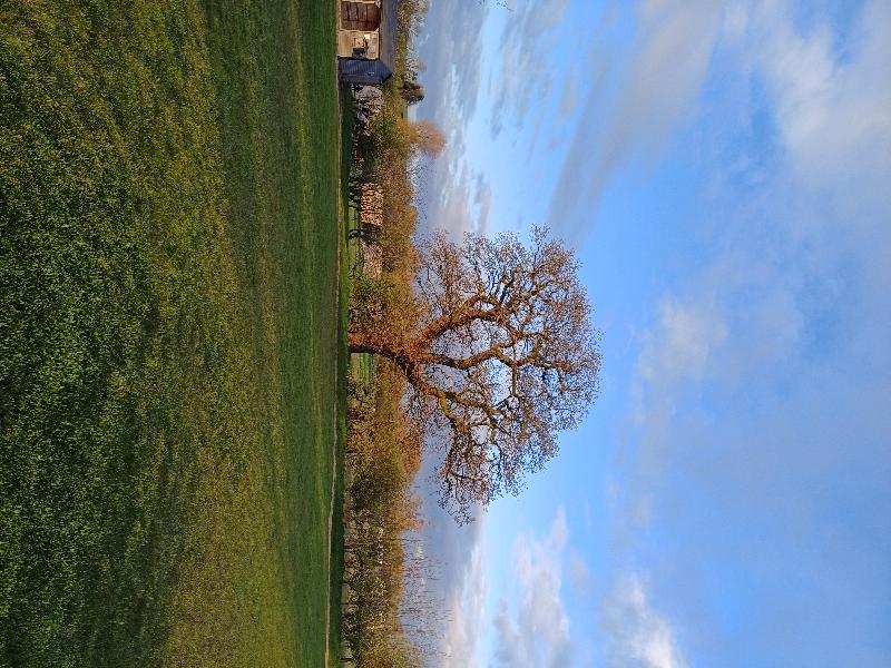 Sedgewell Barn