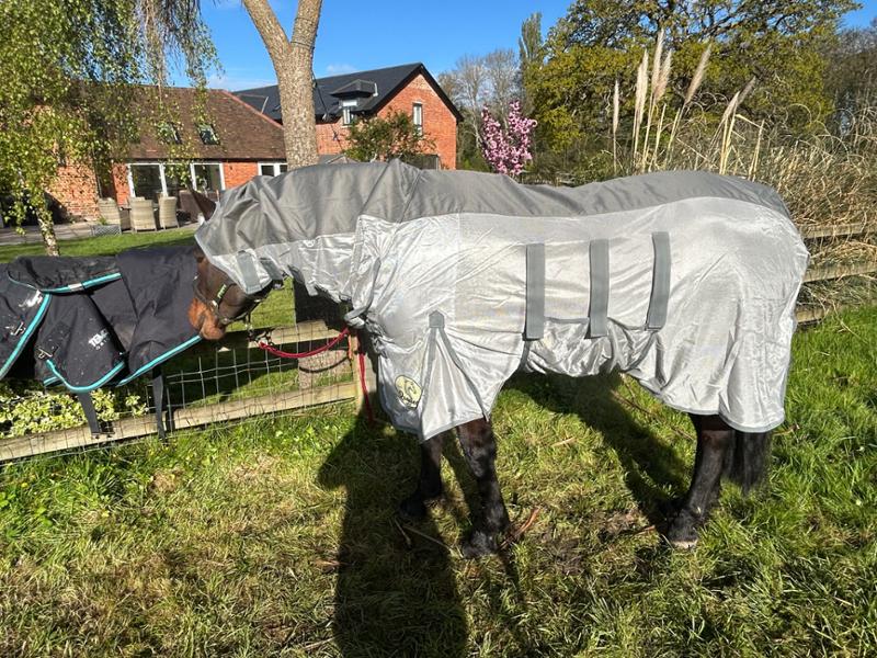 Outstanding fly rug