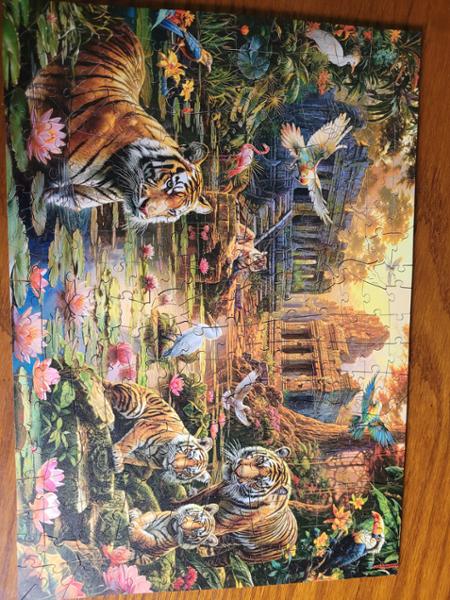So much satisfaction when completing the puzzles. With lovely pictures.