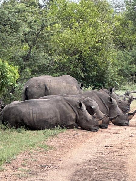 Best safari planning team!