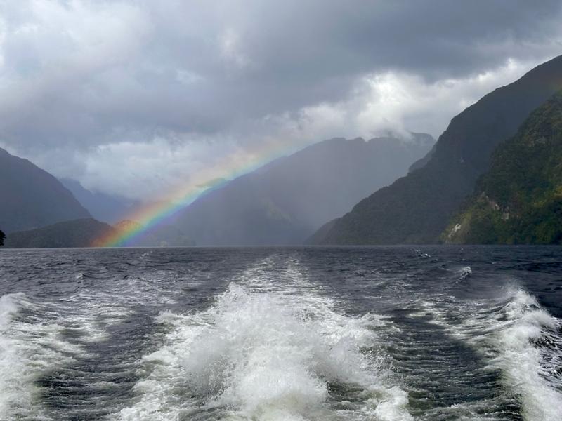 Doubtful Sound Wilderness Day Cruise from Manapouri - Doubtful Sound