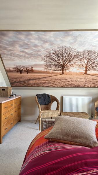 My wallsauce mural is ideal for giving dimension to a sloping ceiling.