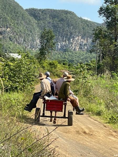 Authentic Havana & the Scenic Viñales Valley