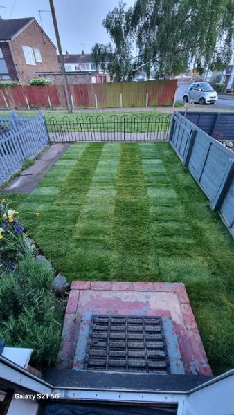 Amazing quality lawn. So happy we chose Rolawn.