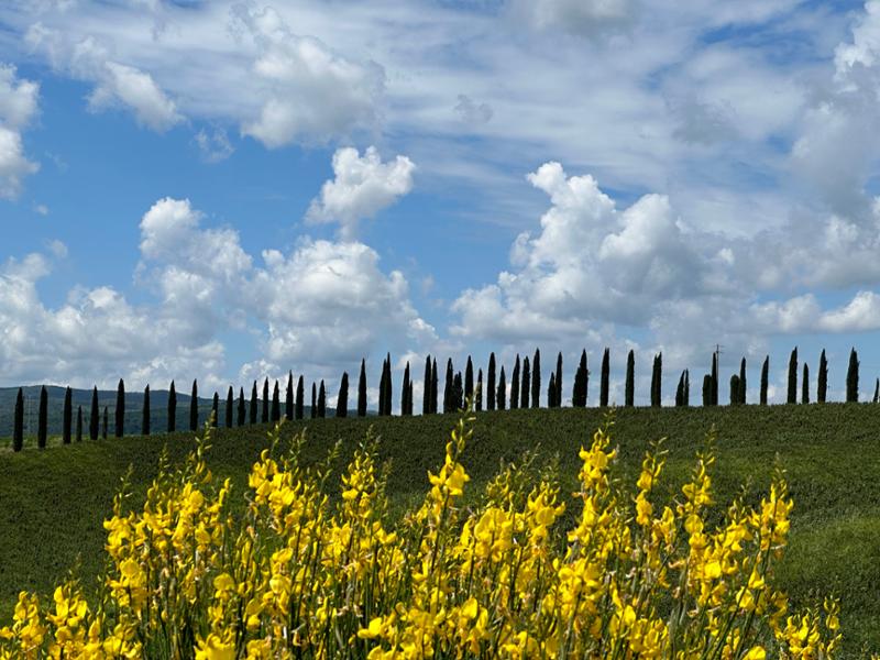 Our Sloways walk through Toscana