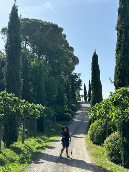 Our Sloways walk through Toscana