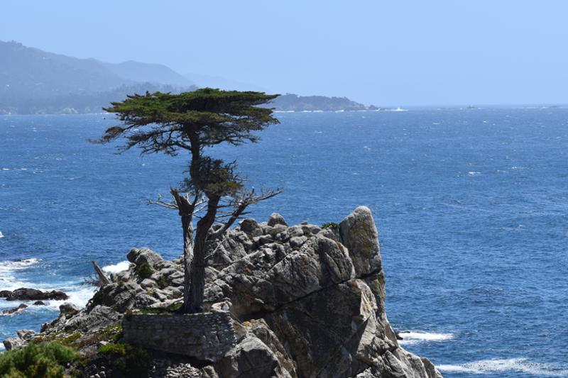 California Dreamin: Monterey, Yosemite and Napa on 05/13/2024