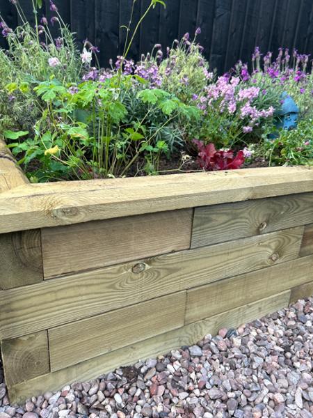 Brilliant raised bed