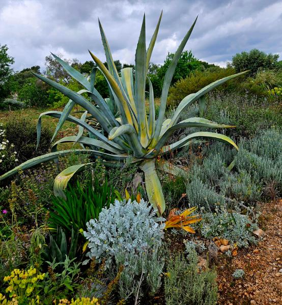 Spend your Puglia holiday at Villa San Michele