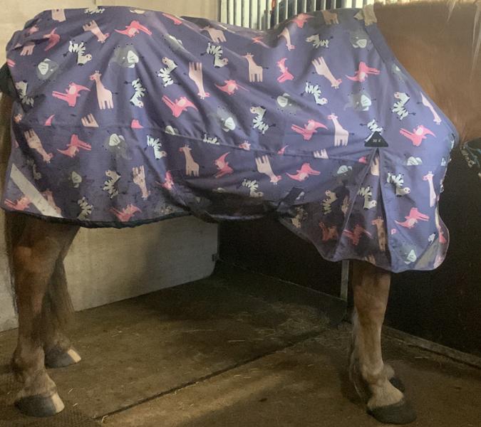 Ruggles rugs for Draft horse.