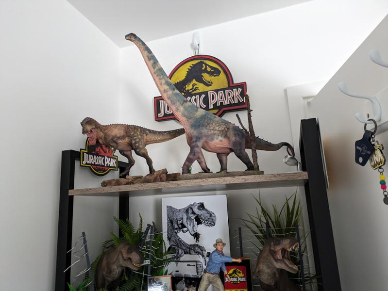 Customer service at Everything Dinosaur