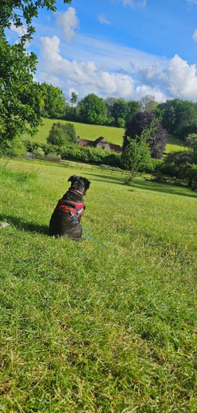 Chawton Park Farm