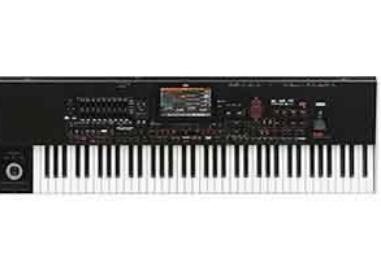 Purchase of a Korg pa4x condition as new