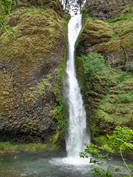 Wonderful day trolleying to see the waterfalls