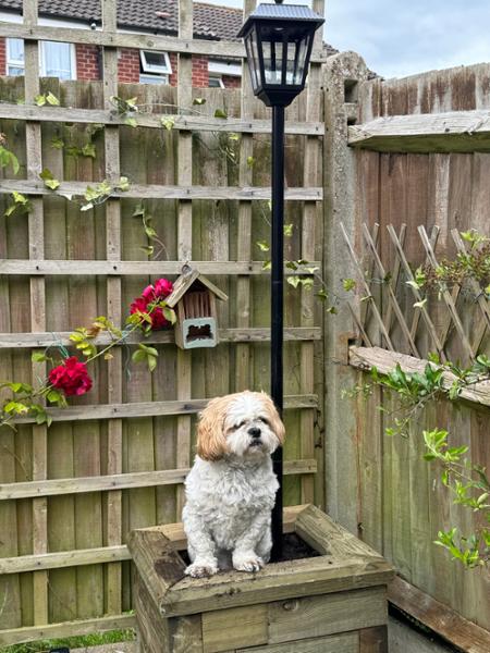 Fabulous Raised Beds