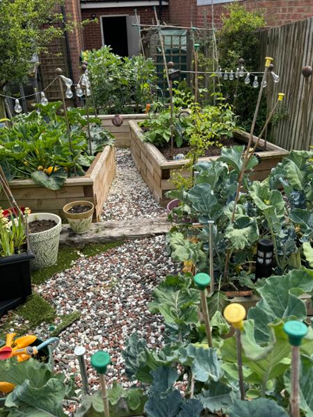 Fabulous Raised Beds