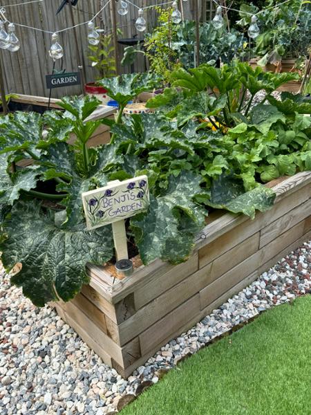 Fabulous Raised Beds