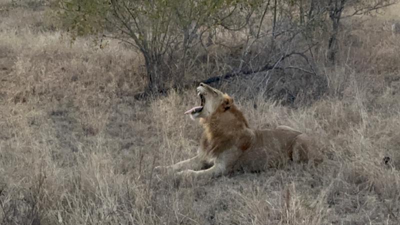 African Family Trip of a Lifetime