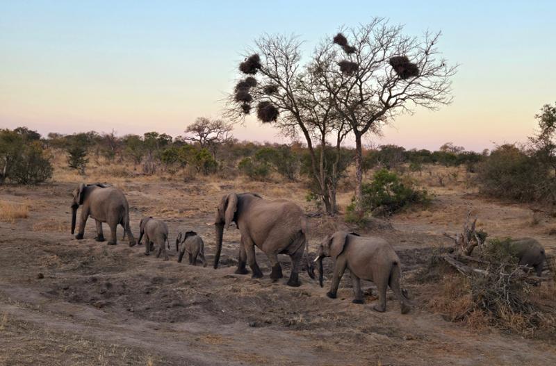 Perfectly planned South Africa, Zimbabwe trip.